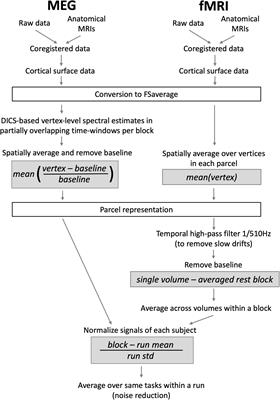 The relationship between electrophysiological and hemodynamic measures of neural activity varies across picture naming tasks: A multimodal magnetoencephalography-functional magnetic resonance imaging study